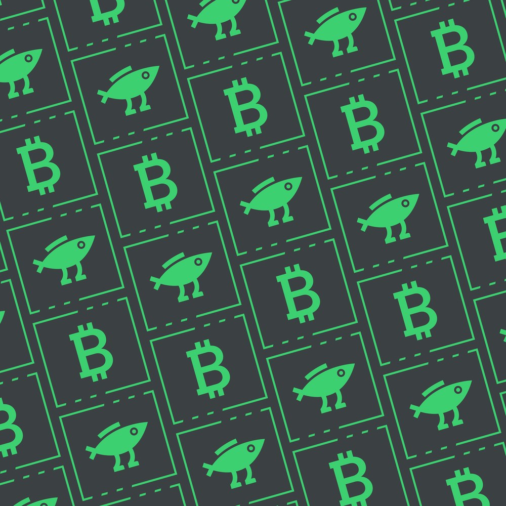 Bitcoin Bird print